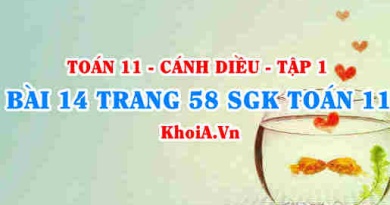 Bài 14 trang 58 SGK Toán 11 tập 1 Cánh Diều